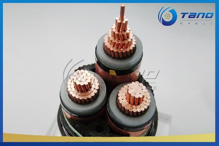 MV 50MM 3 CORE POWER CABLE IEC STANDARD