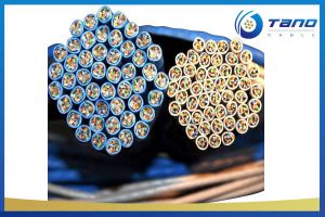 Instrument Cable